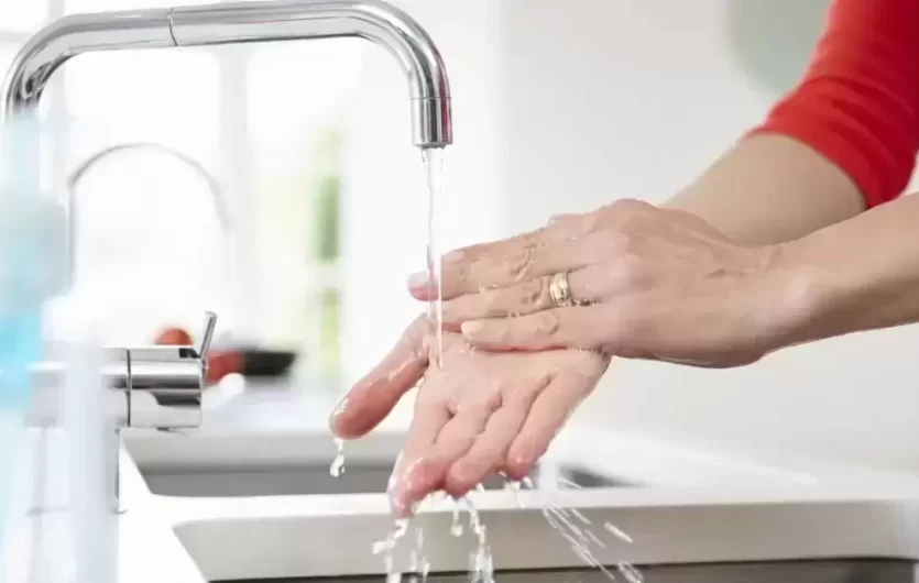 Vaistininkė pataria rankas plauti taip, tarsi jas ką tik iki alkūnių buvote panardinę purve