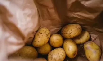 Šviežios lietuviškos bulvės: ūkininkas papasakojo, kokie iššūkiai lydi ir kada kasime derlių