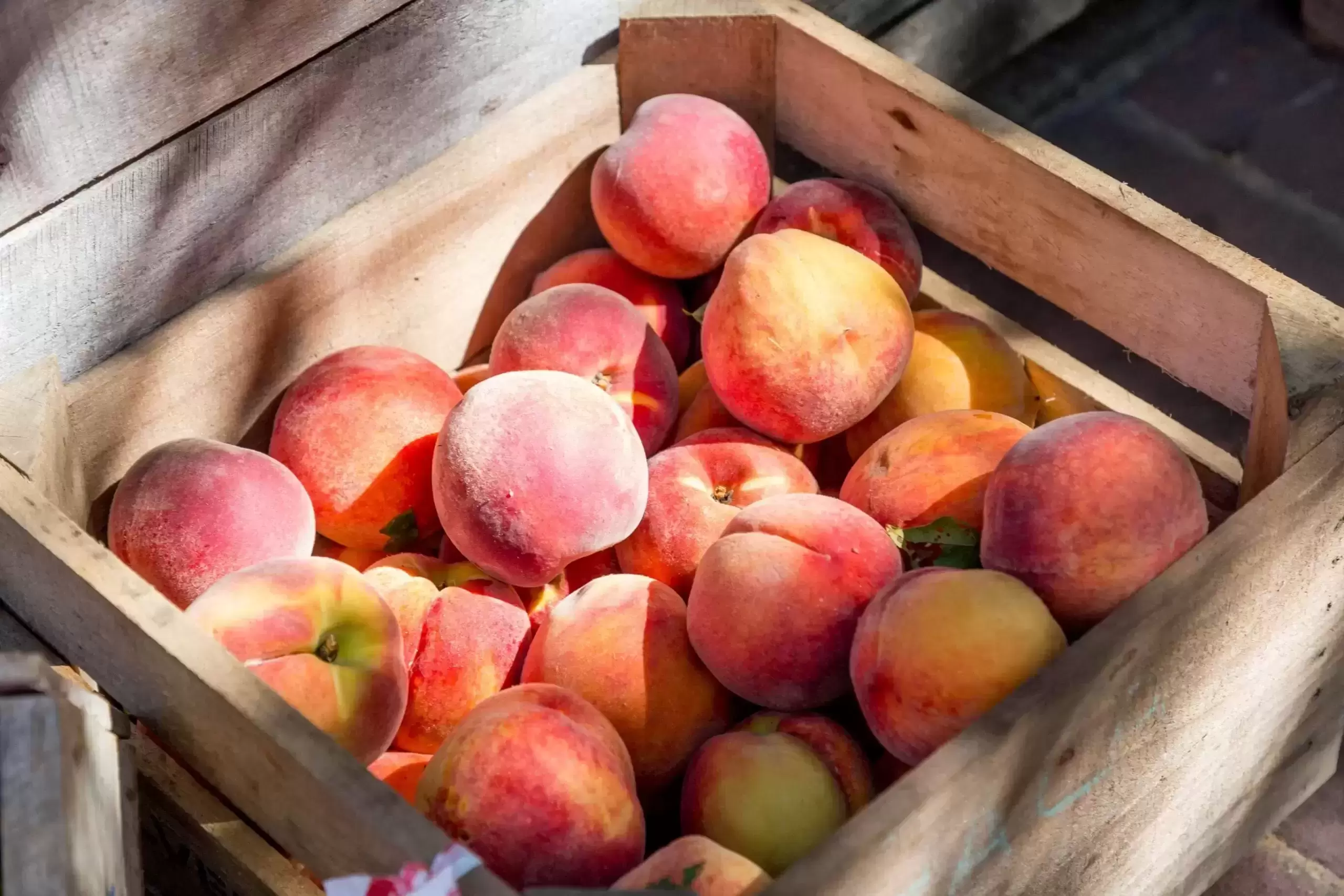 5 faktai apie persikus: padeda kovoti su stresu ir nerimu, naudojami kosmetikos gamyboje