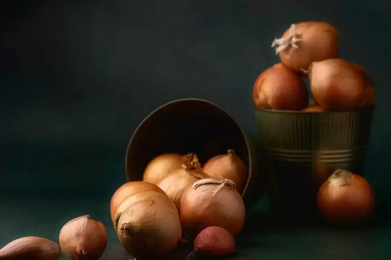 3 vegetariški patiekalai iš svogūnų: gaminkite kepsnelius, užkandžius, derinkite su makaronais